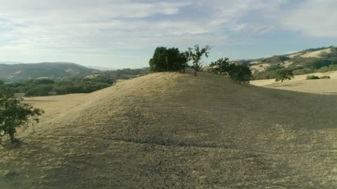 Trees on hill Stock-Footage 139049114
