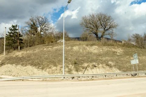Trees on the hill. Stock Photos