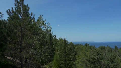 Trees on Hill Slope with view of Lake Stock Footage 166584916