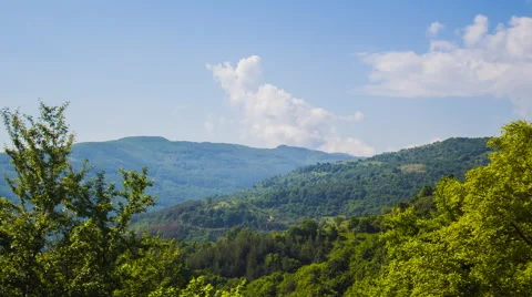 Trees Hills and Clouds Stock Footage 51535418