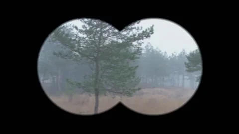 Trees on hillside Stock Footage 235267482