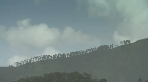Trees on hilltop timelapse 스톡 동영상 52131551