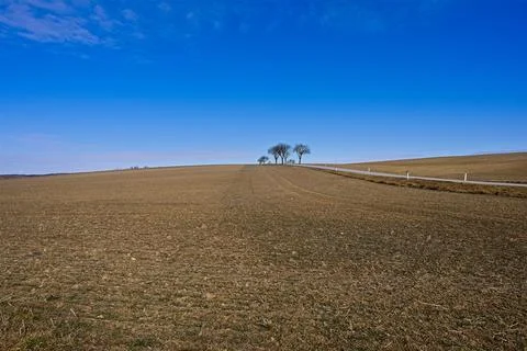 Trees on the Horizon, Empty Field Stock Photos