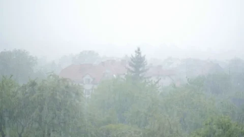 Trees, house, building behind heavy rain, downpour, wall of rain Stock Footage 90096072