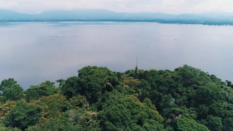 From trees to Huge Lake top view drone shot Video stock 160536513