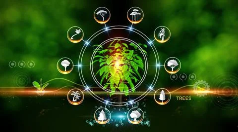 Trees Icon Concept 스톡 일러스트