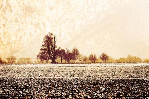 Trees Stock Illustration