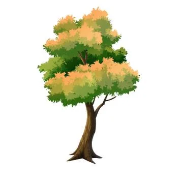 Trees Stock Illustration