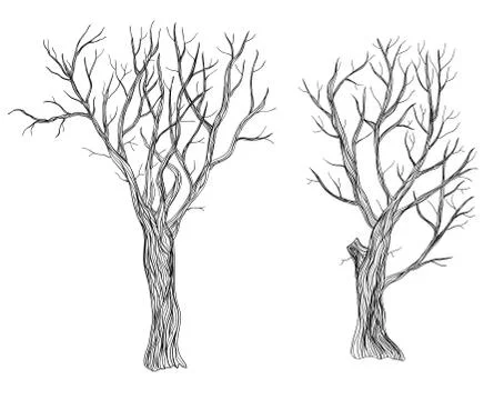 Trees Stock Illustration