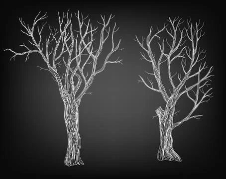 Trees Stock Illustration