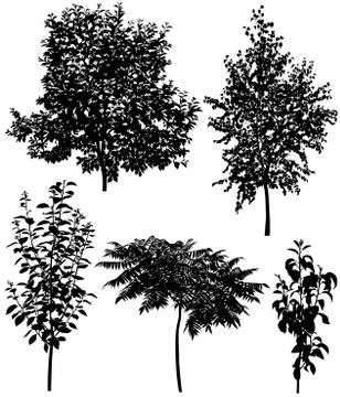 Trees Stock Illustration