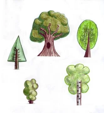 Trees Stock Illustration