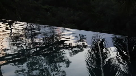 A trees image is mirrored in the calm waters. Stock Footage 275491196