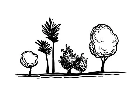 Trees ink sketch. Stock Illustration