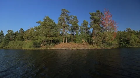 Trees on the Island 库存影片 64755852