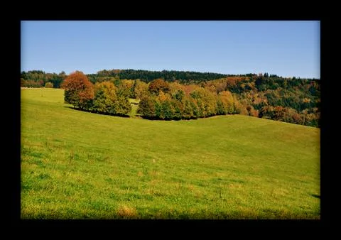 Trees in Jizerske mountain Stock Photos
