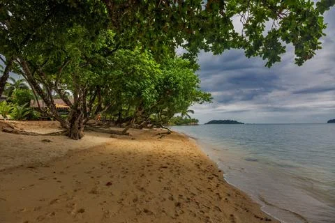Trees on Kai Bae Beach under a gloomy dramatic sky Stock Photos
