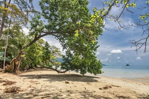 Trees on Kai Bae Beach under a blue sky with clouds on Koh Chang Island Stock Photos