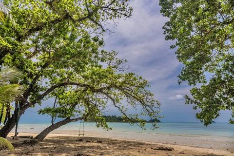 Trees on Kai Bae Beach under a gloomy dramatic sky Stock Photos
