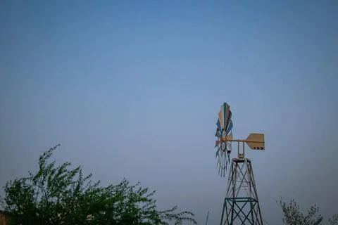 Trees in Kuwait with windmill grass and bright colours Stock Photos