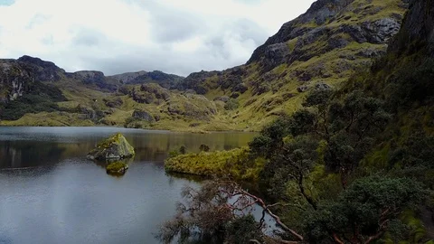 Trees At Lake Between Mountains [Drone Footage] Stock Footage 88346330