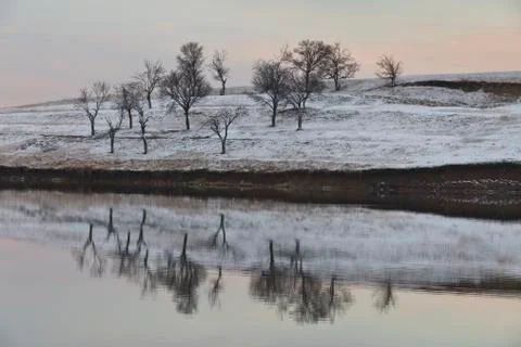 Trees on the lake Stock Photos