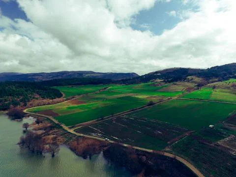 Trees in the lake Stock Photos