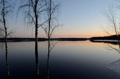 Trees by lake at sunset Stock Photos