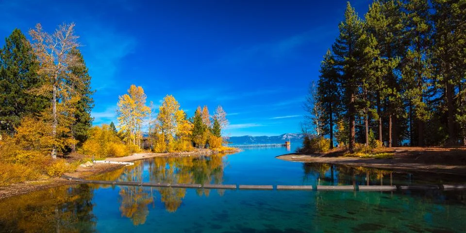 Trees at the lakeside Stock Photos