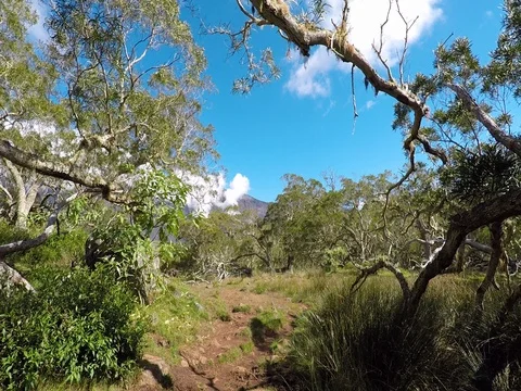 Trees on the landscape and blue sky above Stock Footage 81240097