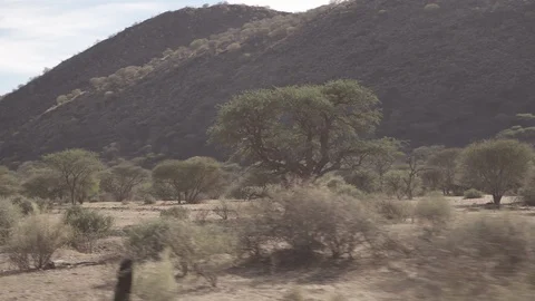 Trees on landscape by mountain against sky during sunny day seen through train Stock Footage 128850955