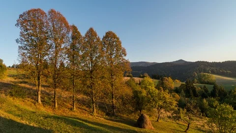 Trees leaf fall in autumn Time lapse Stock Footage 91581087