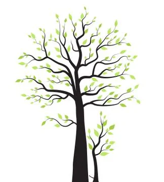 Trees with leaves Stock Illustration