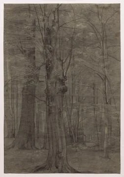Trees. Leopold Bode (German, 1831-1906). Black chalk, with stumping and era.. イラスト素材