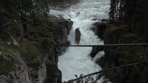 Trees lie across rapids and river in Alberta Stock Footage 90840910