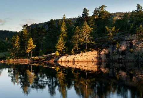 Trees light up in the first rays of morning light Stock Photos