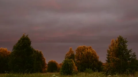 Trees in the light of the setting sun Stock Footage 138734774