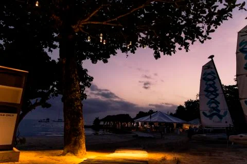 Trees with Lights on the beach Stock Photos