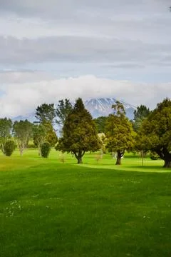 Trees at local Golf Course Stock Photos