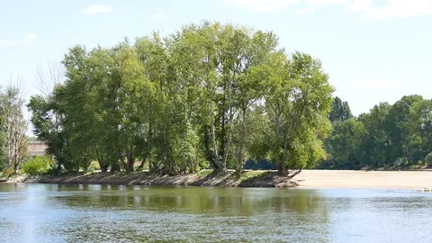 Trees in the Loire River. Stock Footage 94425910