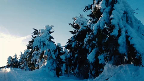 Trees with a lot of snow in winter time in czech mountains. Stock Footage 103088728