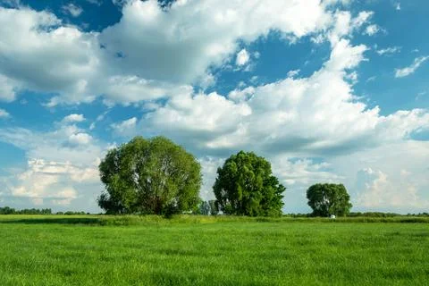 Trees in the meadow and clouds on the sky Stock Photos