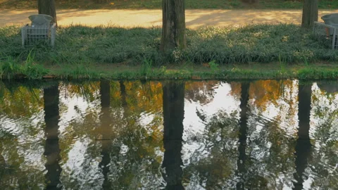 Trees mirrored in water Stock Footage 86451537