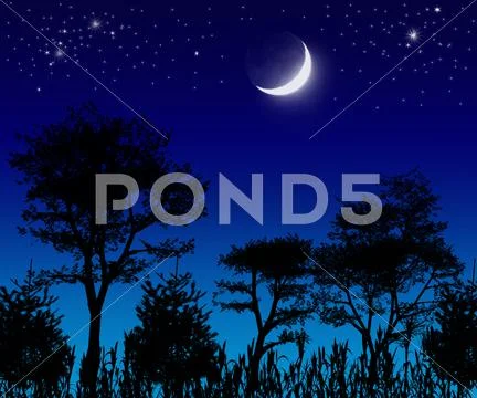 Trees , moon and stars. Stock Illustration
