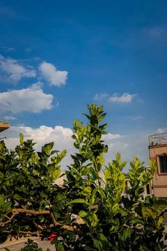 Trees is the most important thing in our whole life Stock-Fotos