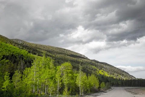 Trees mountain blue cloudy sky Stock Photos