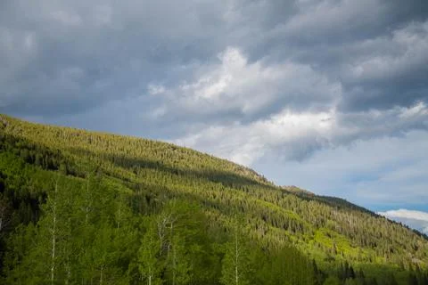 Trees mountain blue cloudy sky Stock Photos