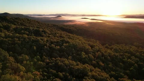Trees On The Mountain Drone Footage Stock Footage 221114435