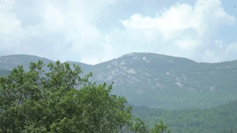 Trees, mountain Stockbeeldmateriaal 171340387