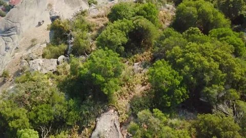 Trees on the Mountain Meteora Stock Footage 239248227